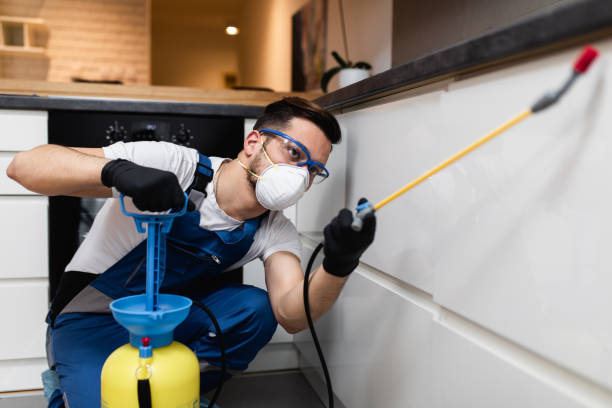 Best Pest Control Treatment  in Lawrence, MA