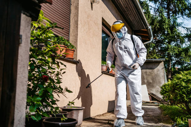 Best Residential Pest Control  in Lawrence, MA