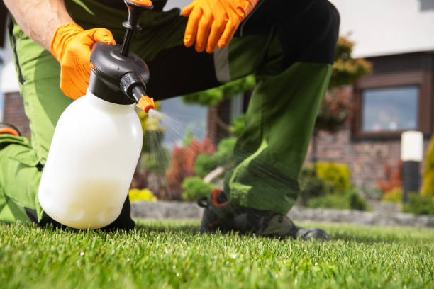 Best Pest Prevention Services  in Lawrence, MA