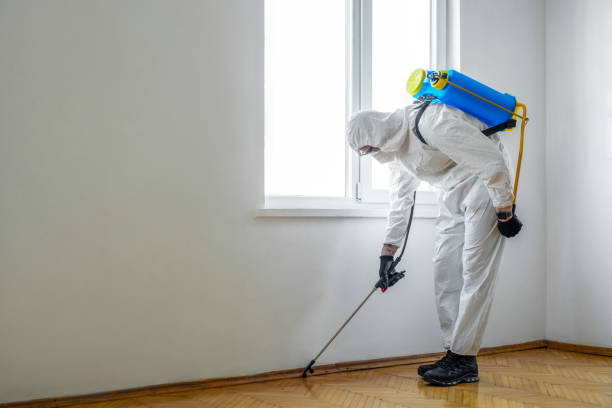 Best Best Pest Control Companies  in Lawrence, MA